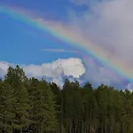 Alpehytte Konttaisenranta *