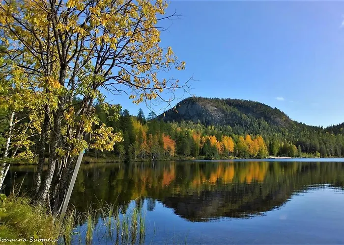 Σαλέ Konttaisenranta *