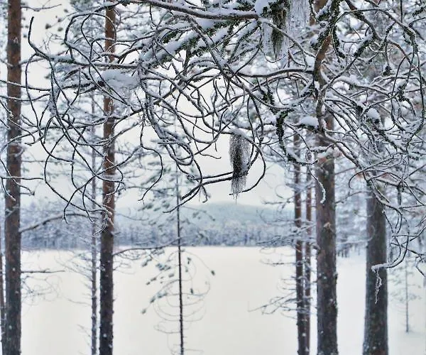 Konttaisenranta Alpesi faház