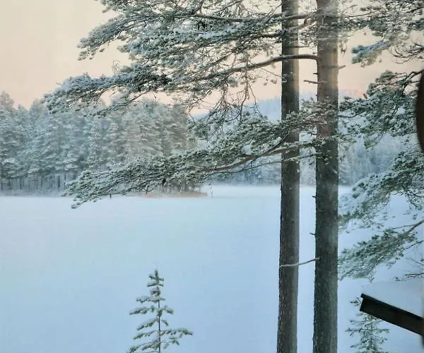 Konttaisenranta Σαλέ *